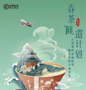 順豐派出11個(gè)春茶“鮮”遣隊(duì) 用專機(jī)航空運(yùn)輸 提高寄遞效率-物流之家
