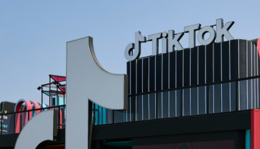 TikTok用戶數排名前十的國家中 東南亞國家占4個 美國用戶數仍是最多-物流之家