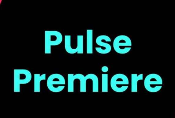 TikTok推出新廣告產品“Pulse Premiere”  是TikTok Pulse項目的進化版-物流之家