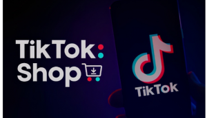 TikTok產品營銷經理表示 暫時沒有在荷蘭推出的計劃-物流之家