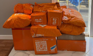 Temu在美國口碑下滑 但銷售額比Shein高出20%-物流之家