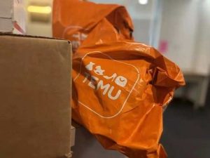 Temu在海外投入不斷加大 在美國東部和西部各建一個倉庫-物流之家