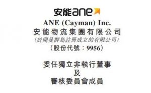 沙莎被委任 安能物流獨立非執(zhí)行董事及董事會審核委員會成員-物流之家