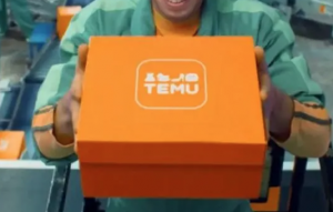 Temu計劃開放中東站點-物流之家