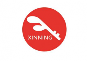 新寧物流發布2023年半年度報告 營收2.05億元 營業利潤-3062萬元-物流之家