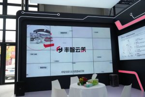 “順豐塑料包裝廢棄物全流程閉環(huán)回收再生項(xiàng)目”獲物流ESG實(shí)踐創(chuàng)新案例獎(jiǎng)-物流之家