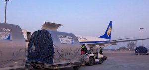 中國郵政雙11國內包裹快遞日均收寄同比增長43%-物流之家