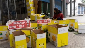 極兔重慶奉節(jié)網(wǎng)點日均發(fā)出萬單臍橙-物流之家