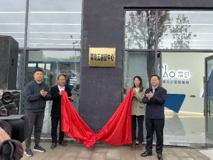 菜鳥云客服中心在四川蒼溪縣正式揭牌運營-物流之家