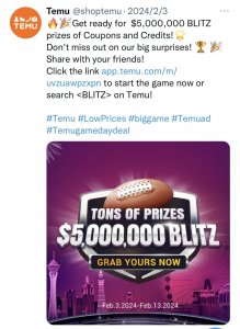 財大氣粗，拼多多TEMU重返美國超級碗-物流之家