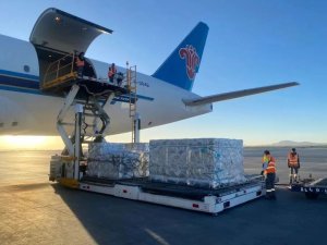 南航物流:2月以來深圳鮮花進出港量環比增超100%-物流之家