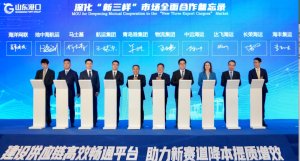 山東港口與馬士基等7家船公司簽署合作備忘錄-物流之家