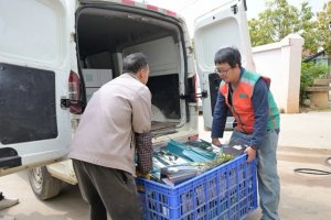 滴滴送貨啟動“小貨全能季” 提升平臺小貨車型占比-物流之家