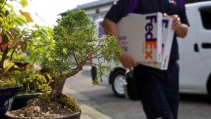 聯(lián)邦快遞與跨境技術(shù)公司Zonos達(dá)成合作-物流之家