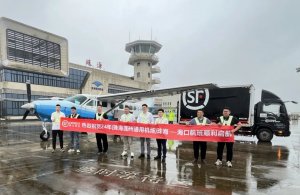 順豐在海南開通首條低空運輸航線 助力荔枝運輸-物流之家