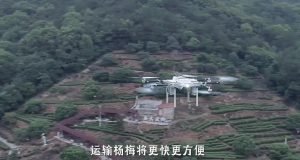 豐翼無人機在華東開啟長距離生鮮運輸服務-物流之家