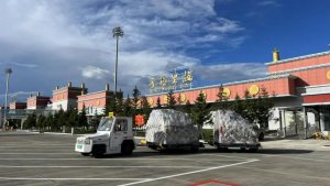 在 2024 年，順豐松茸全貨機(jī)的運(yùn)輸貨量達(dá)到了前所未有的高度，創(chuàng)下了歷史新紀(jì)錄-物流之家