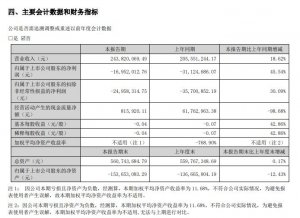 新寧物流于上半年的收入較上年同期增長 18.6%,歸屬于母公司所有者的凈利潤較上年同期減虧 45.5%-物流之家