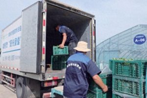 關于全國供銷系統公共型農產品冷鏈物流建設的觀察-物流之家