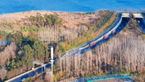 京東快遞：在七夕來臨前一周，斗南鮮花包裹的寄遞數量翻倍增長-物流之家