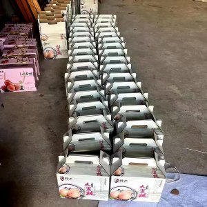 申通快遞構建“水蜜桃專線”，達成江浙滬次晨達之服務成效-物流之家