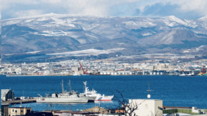 淺談中國物流企業出海的破局之策-物流之家