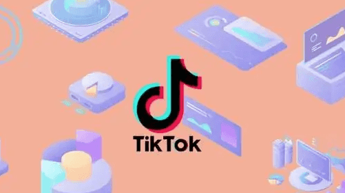 TikTok將在美國自建物流和倉儲體系-物流之家